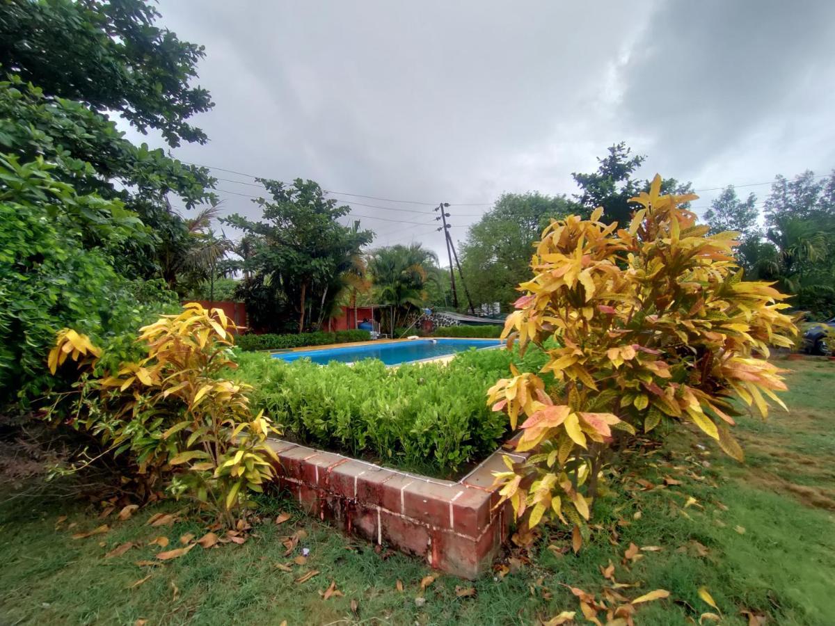 Opulence Resort Awas Alibaug Alībāg Εξωτερικό φωτογραφία